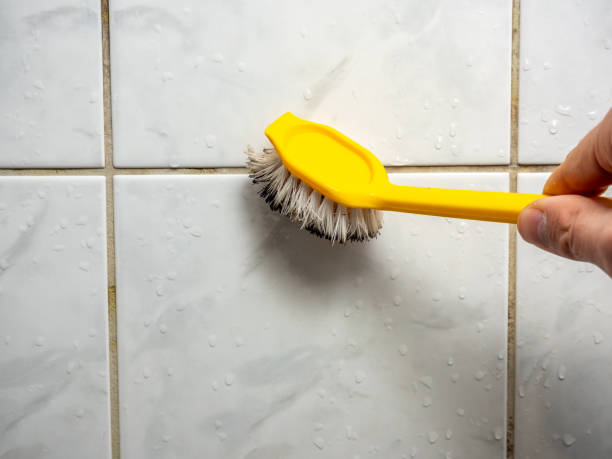 Best Residential Mold Removal  in King, WI