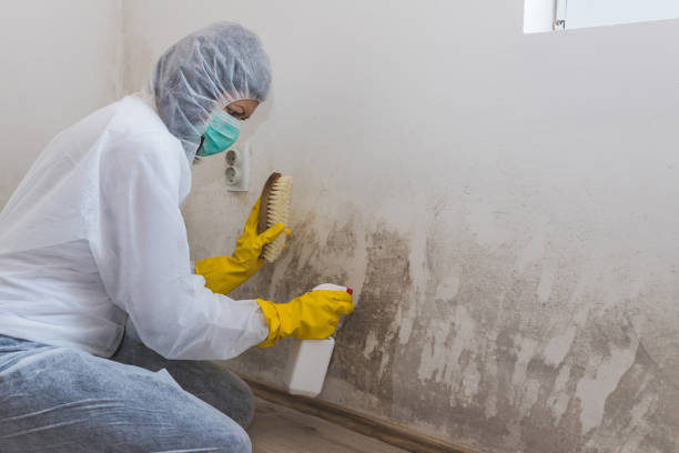Certified Mold Removal in King, WI