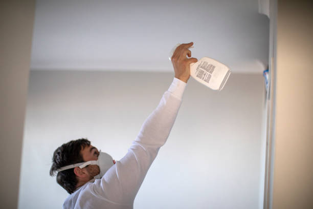 Best Toxic Mold Removal  in King, WI