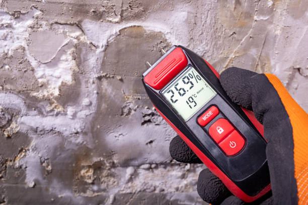 Best Mold Testing  in King, WI