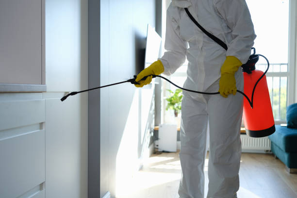 Office Mold Removal Services in King, WI
