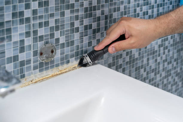 King, WI Mold Removal Company