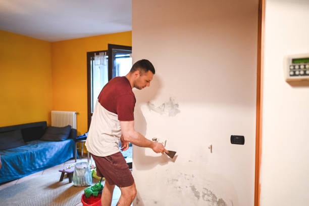 Best Certified Mold Removal  in King, WI