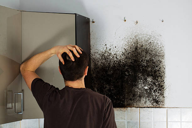 Water Damage Restoration in King, WI